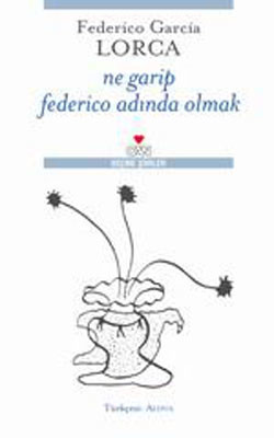 Ne Garip Federico Adında Olmak Kitap Kapağı
